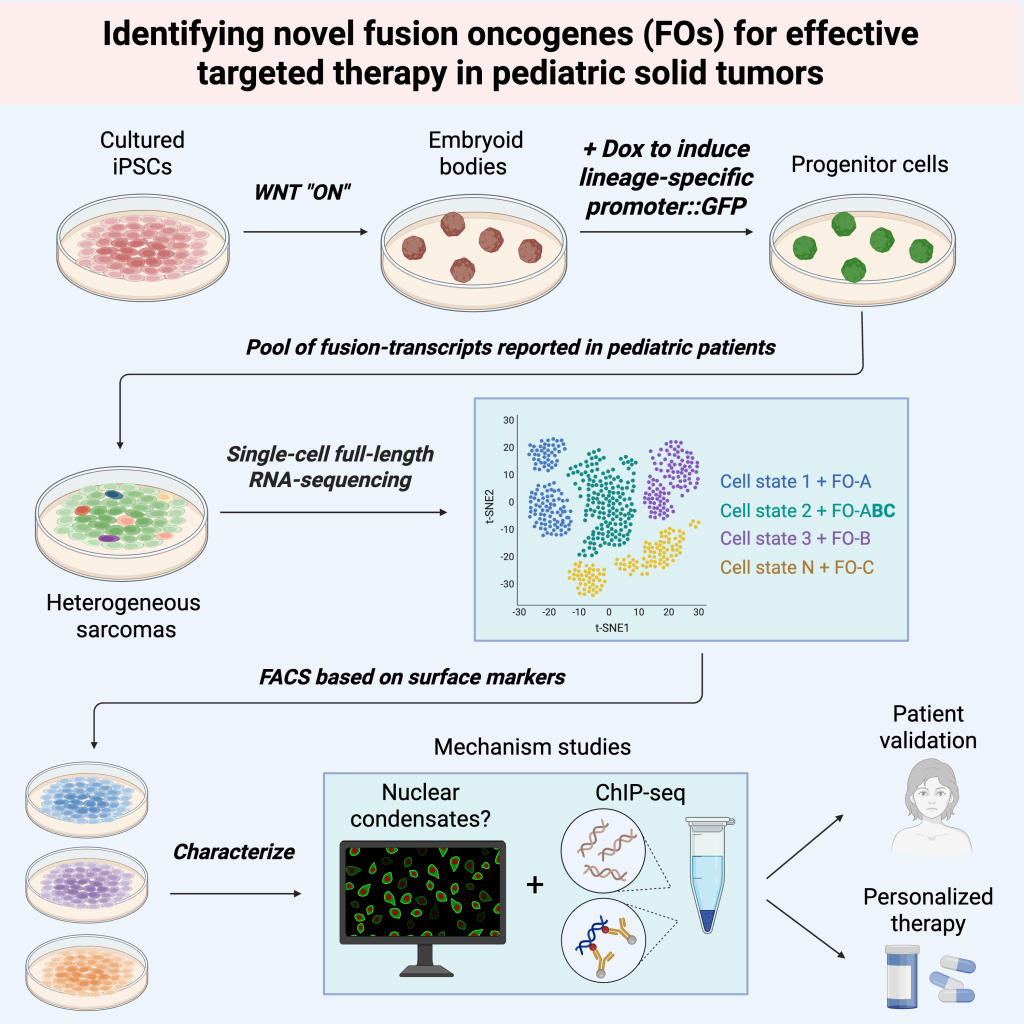 iPSC as a model to study fusion oncogenes