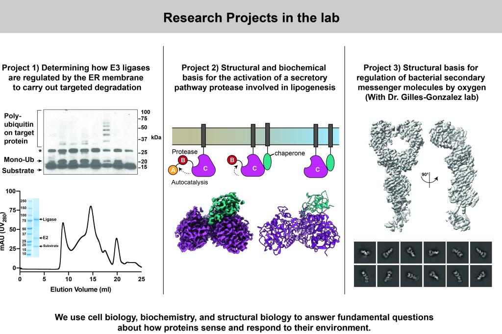 Schematic of research questions and methods