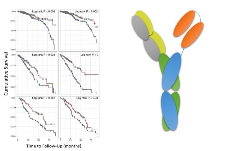 Qiao lab banner