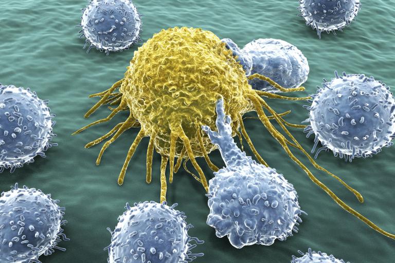 Macrophages
