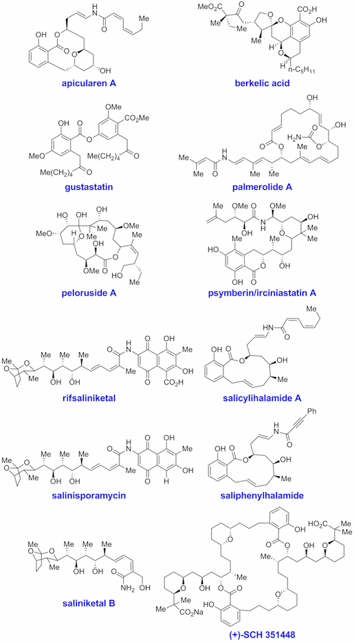 Molecules Completed by Total Synthesis