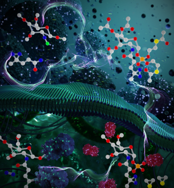 Cover of of kakde_JOC_2021