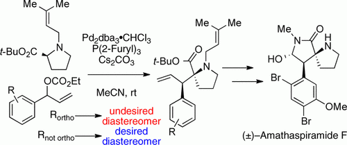Synthesis of (±)-Amathaspiramide F and Discovery of an Unusual Stereocontrolling Element for the [2,3]-Stevens Rearrangement