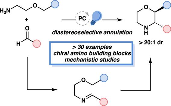 Photocatalytic Synthesis of Substituted 2-Aryl Morpholines via Diastereoselective Annulation
