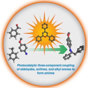 Photocatalytic carbonyl alkylative amination via direct C–H functionalization