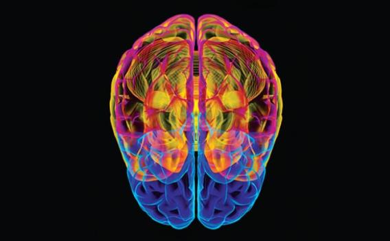 Brain Scan Image