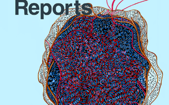 Cell Reports Cover