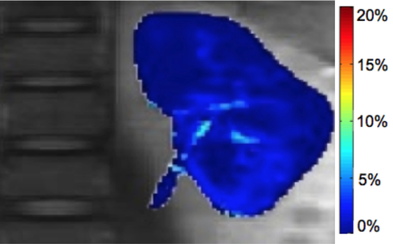 Translational CEST