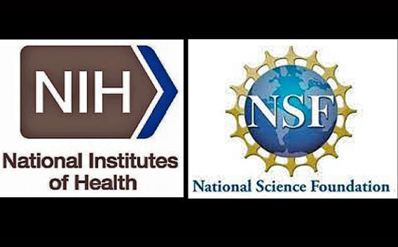 NIH and NSF logos