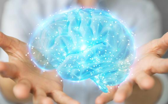 Brain floating between two hands