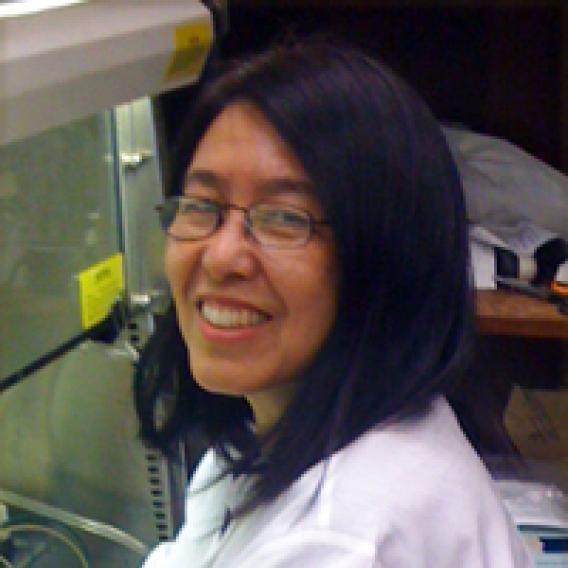 Boning Gao, Ph.D.