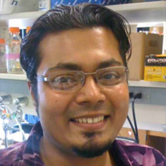 Dhruba Deb, Ph.D.