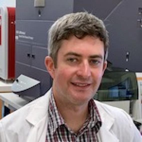 Brian Hitt, M.D., Ph.D.