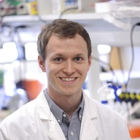 Brandt Nichols, Ph.D.