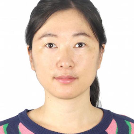 Jingjing Xie, Ph.D.