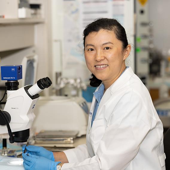 Xin Gong, M.D.