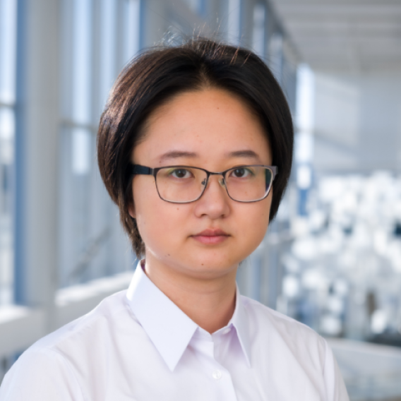 Jingxuan Chen, PhD