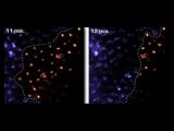 Comparison of CCD bars at 11 min. and 12 min.