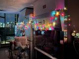 Even the Stem Cells Celebrated the Holidays 2021