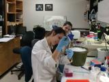 Benchwork Lab members at work