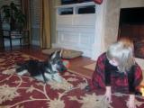 Roxie / Julia