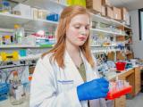 Abigail Passey, Summer Undergraduate Research Institution for the Study of Kidney Disease (SURISKD) Fellow, 2019.