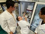 Team working together in lab