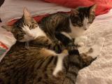 Finn and Fiona