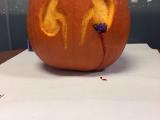 Pumpking carved with a pair of kidneys