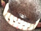 Harry upside down