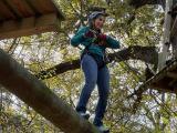 Yan Lab Zipline 2021