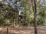Yan Lab Zipline 2021