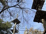 Yan Lab Zipline 2021