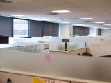 cubicles