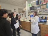 tissue pathology