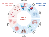 Yan Lab Research Overview