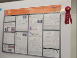 Poster board presentation