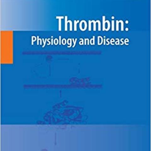 Thrombin: Physiology and Disease