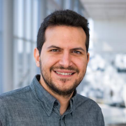 Ermis-loannis Michail-Delopoulos