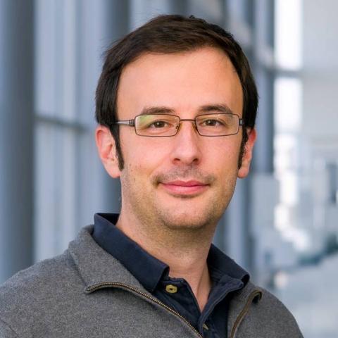Robert Tower, PhD
