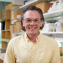 David Hendrixson, Ph.D.